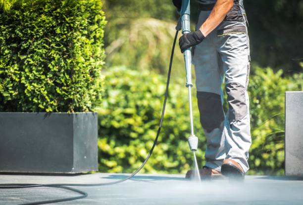 Best Soft Washing for Delicate Surfaces in Indiana, PA